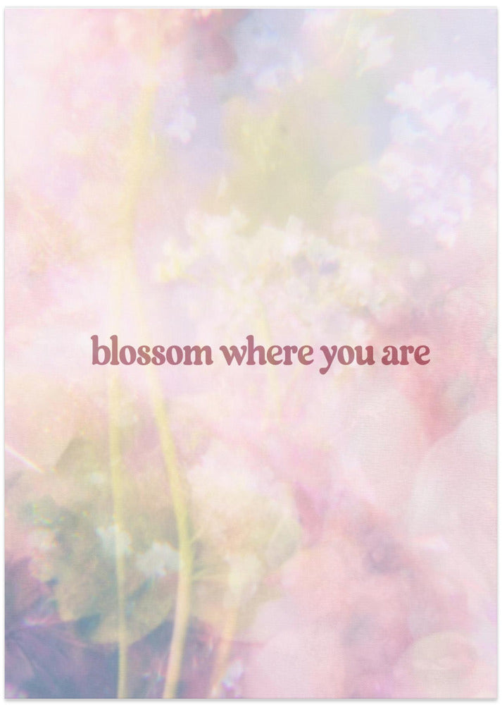 Blossom
