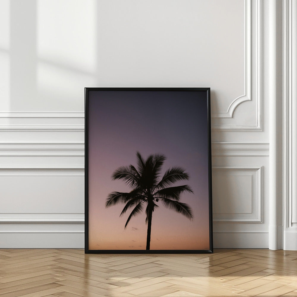 Palm Tree
